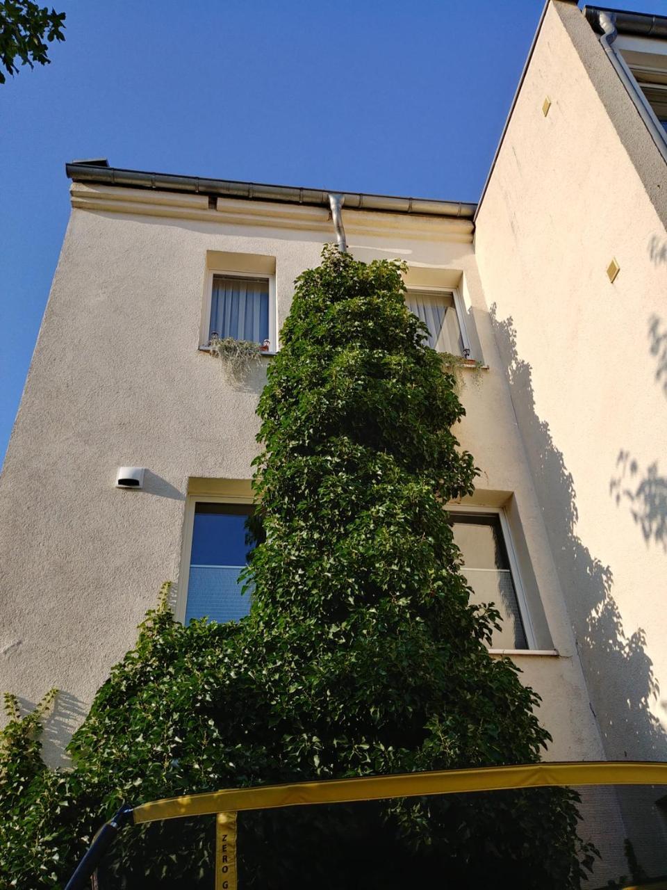 Gapart - Apartments Mit Kueche Leipzig Exterior photo